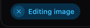 Editing image pill